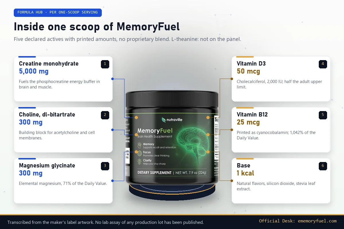 MemoryFuel jar with cards listing its five actives including magnesium glycinate 300 mg